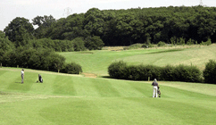 South Essex Golf Club Fairway